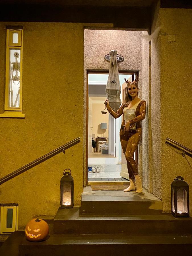 Casa Disa - Dreams, A Boutique Guesthouse In Reykjavik City'S Central Park And Botanical Garden In Laugardalur, Hot-Spring-Valley エクステリア 写真