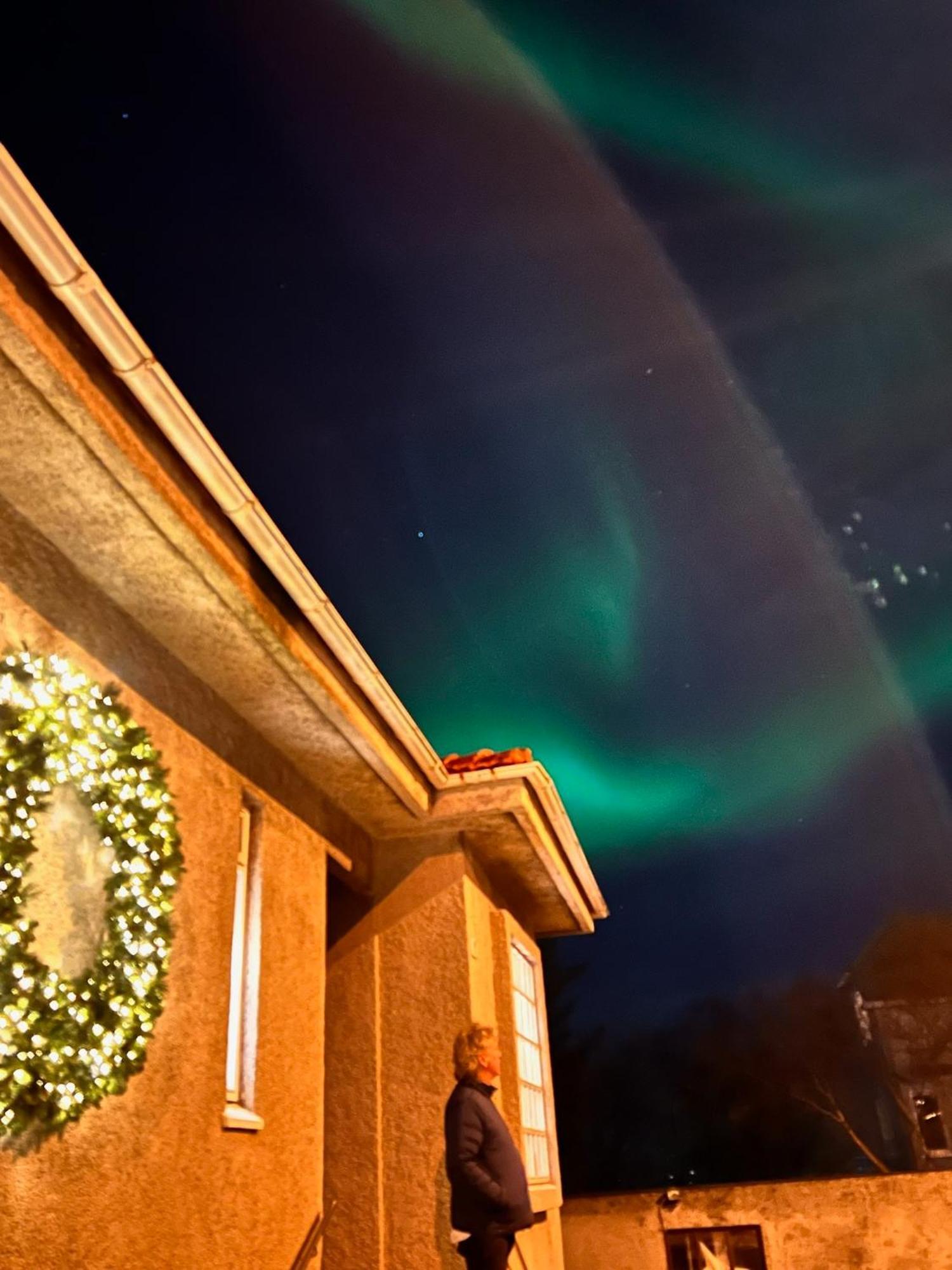Casa Disa - Dreams, A Boutique Guesthouse In Reykjavik City'S Central Park And Botanical Garden In Laugardalur, Hot-Spring-Valley エクステリア 写真