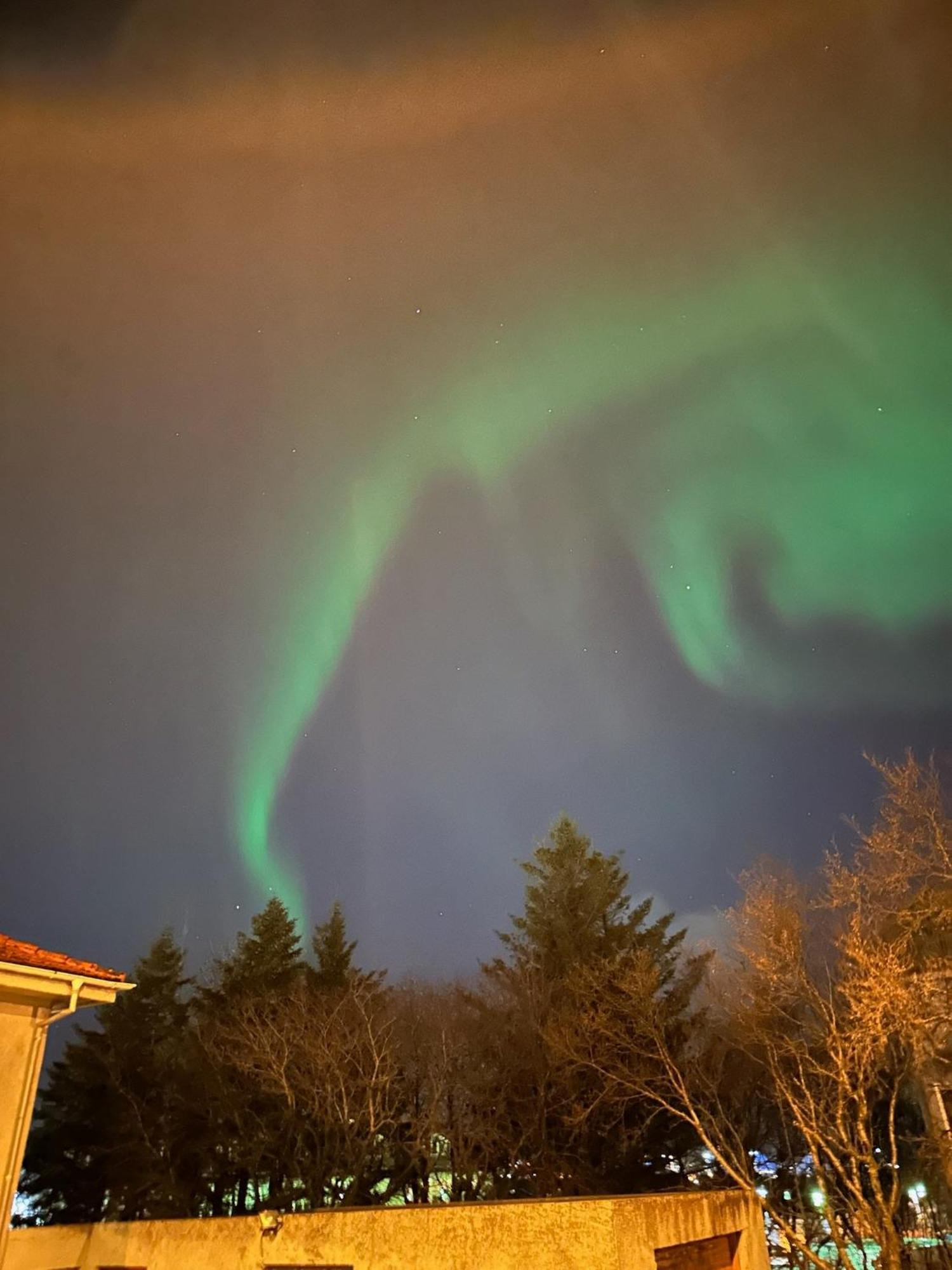 Casa Disa - Dreams, A Boutique Guesthouse In Reykjavik City'S Central Park And Botanical Garden In Laugardalur, Hot-Spring-Valley エクステリア 写真