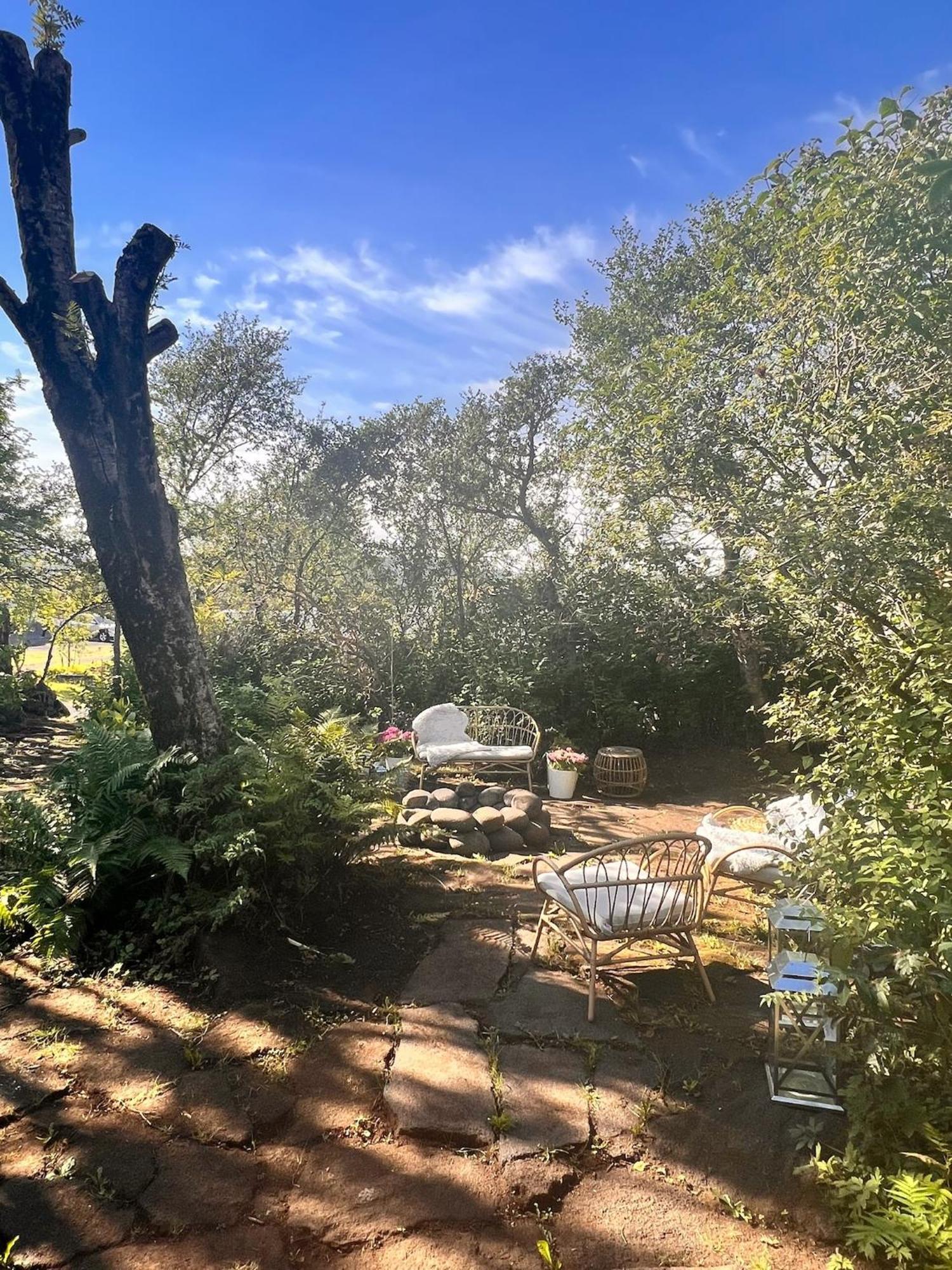 Casa Disa - Dreams, A Boutique Guesthouse In Reykjavik City'S Central Park And Botanical Garden In Laugardalur, Hot-Spring-Valley エクステリア 写真