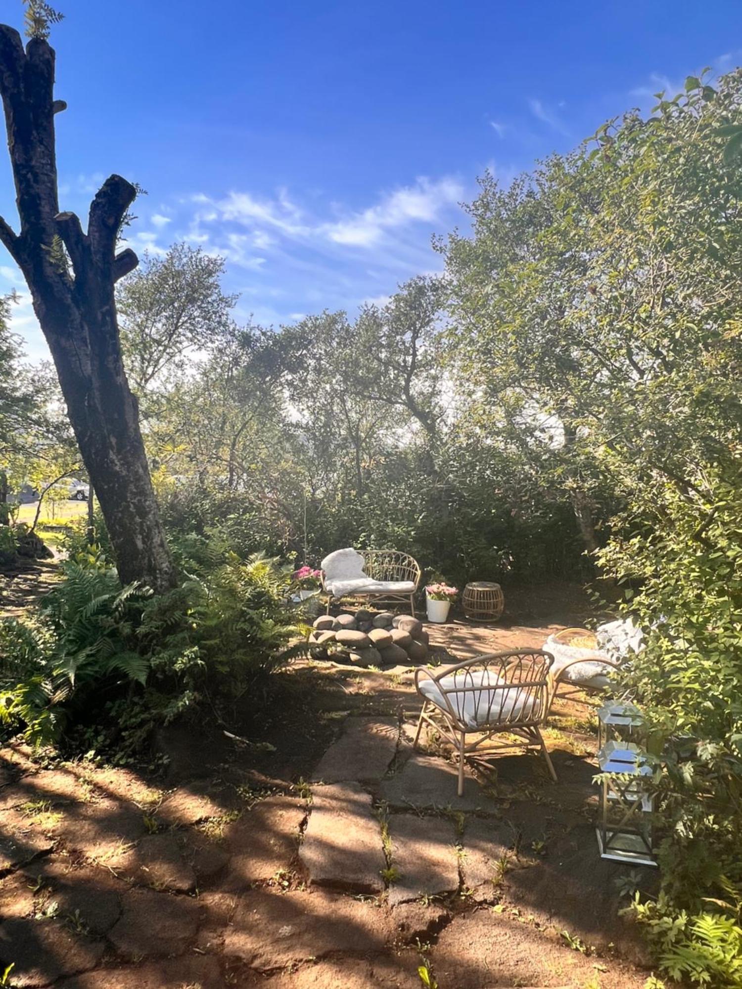 Casa Disa - Dreams, A Boutique Guesthouse In Reykjavik City'S Central Park And Botanical Garden In Laugardalur, Hot-Spring-Valley エクステリア 写真